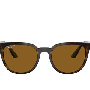 Ray-Ban 4381I Sunglass